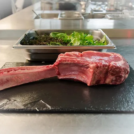 The Christiania Mountain & Hotel Zermatt